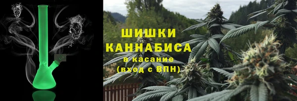 гидра Белокуриха