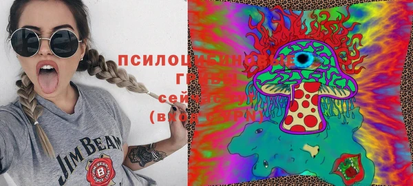 гидра Белокуриха