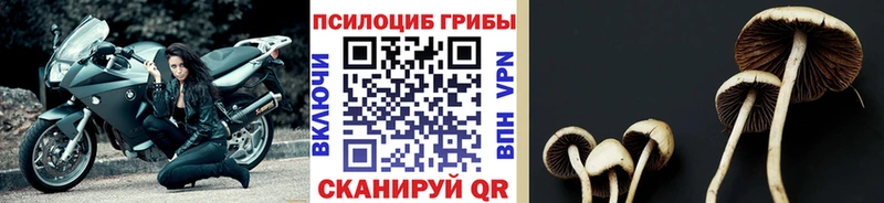 Галлюциногенные грибы мухоморы  купить   Верхний Уфалей 