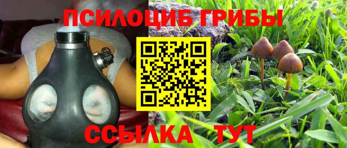 Верхний Уфалей  Галлюциногенные грибы Psilocybe  Вход с VPN  Псилоцибиновые грибы GOLDEN TEACHER 